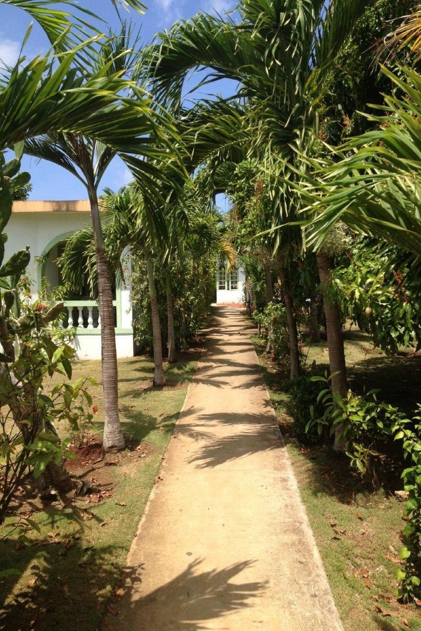 Hidden Paradise Resort Hotel Νεγκρίλ Εξωτερικό φωτογραφία
